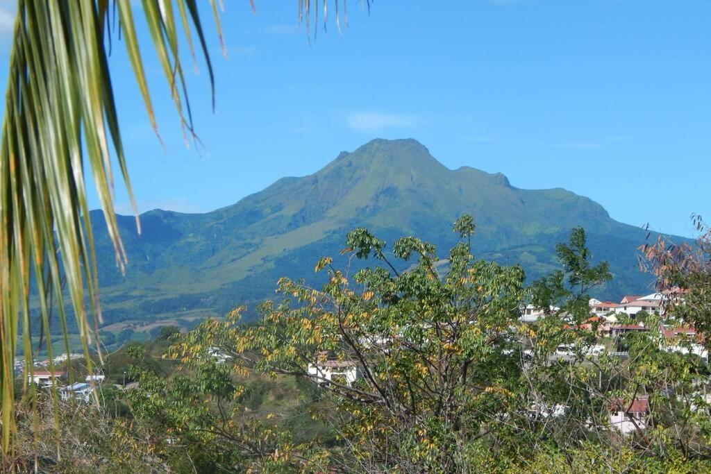 Vila Le Morne Charlotte Le Carbet Exteriér fotografie