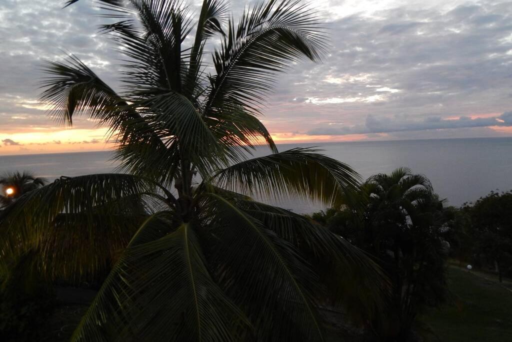 Vila Le Morne Charlotte Le Carbet Exteriér fotografie